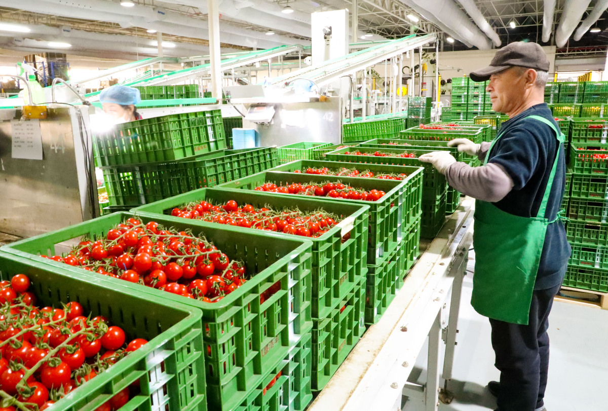 科技赋能与产业升级 农副食品加工业迎来发展新机遇